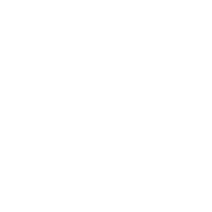 Tenax Academy
